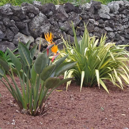 Casa Da Vigia Apartamento Calheta de Nesquim Exterior foto